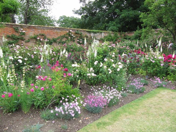 assorted rose garden