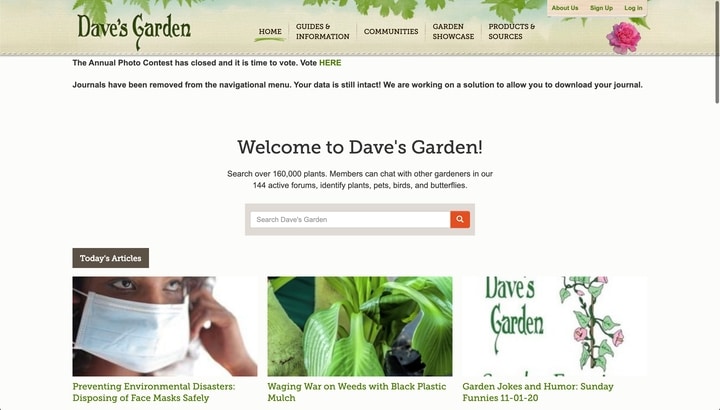 daves garden best plant information website