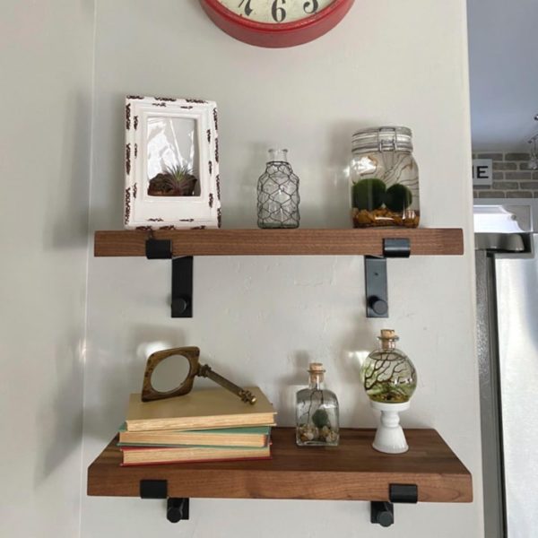 Jarrarium Beginner's Guide with the 7 Best Jarrarium Kits