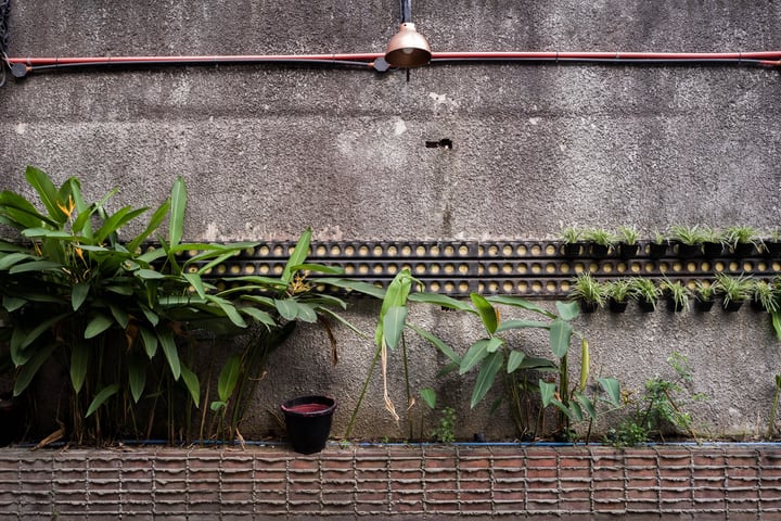 diy backyard wall garden