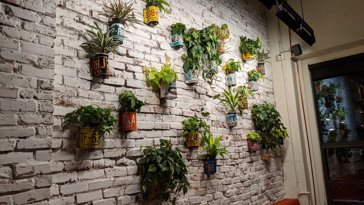 diy potted wall garden