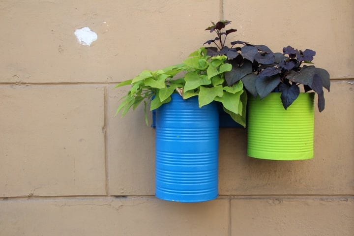 diy wall garden using recycled cans