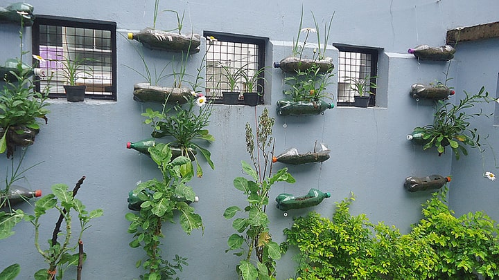 diy wall garden using repurposed bottles