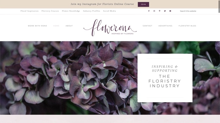 el mejor sitio web de información de flores de flowerona