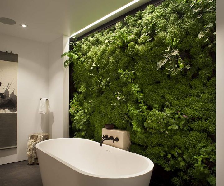 grow moss wall