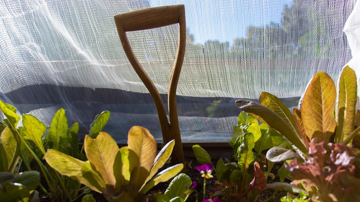 Does Shade Cloth Actually Work in the Garden?