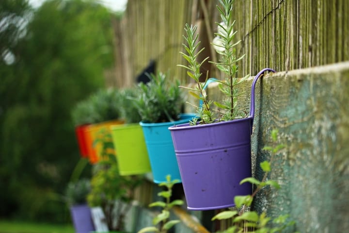 hanging herb wall garden