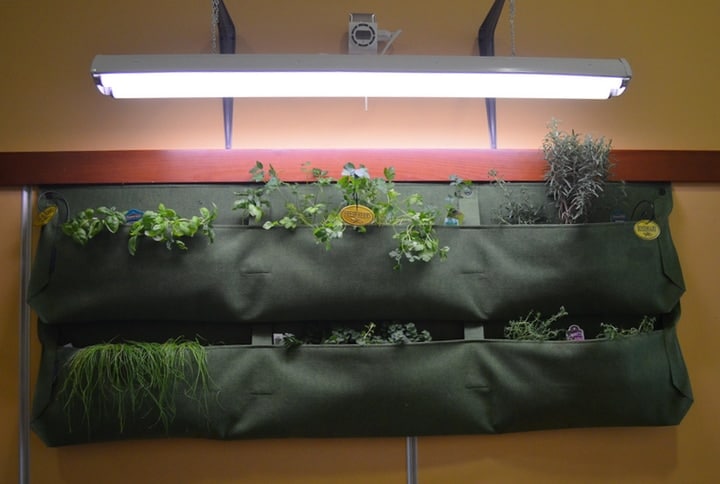 indoor herb wall garden