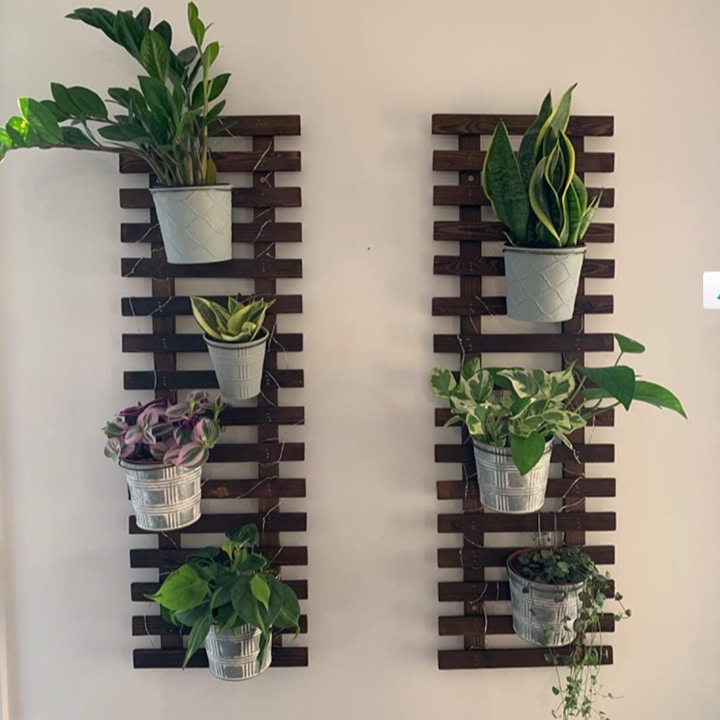 indoor vertical wall garden