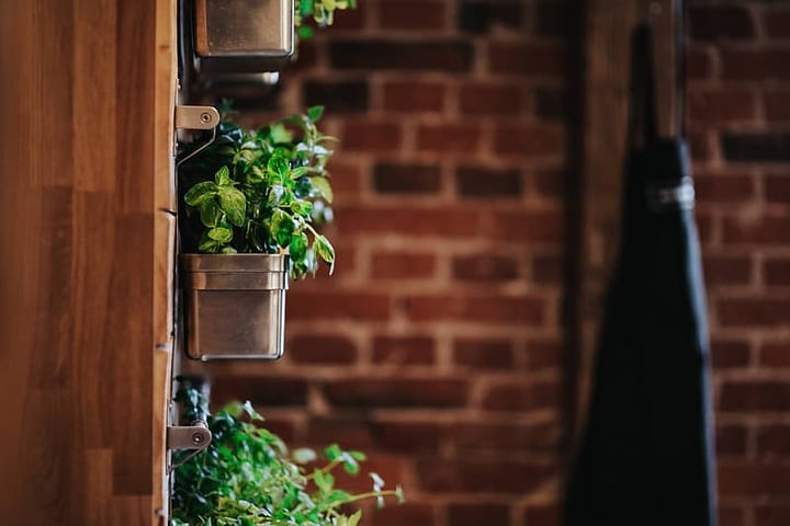 indoor wall garden