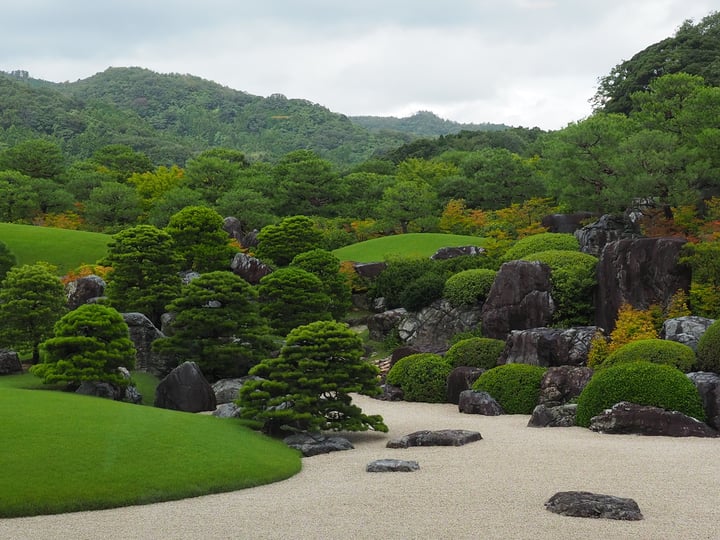 mossy zen garden