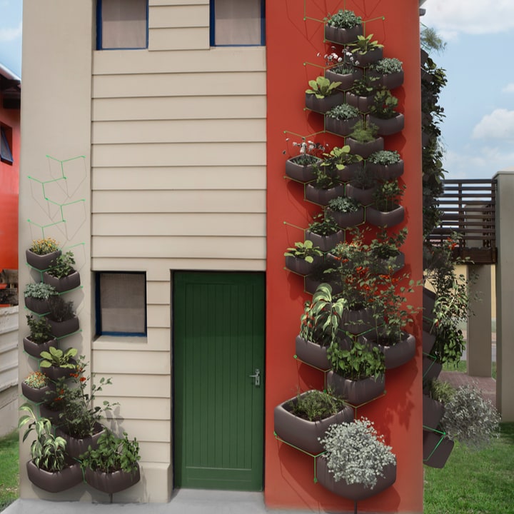 outdoor vertical wall garden