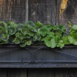 outdoor wooden wall garden