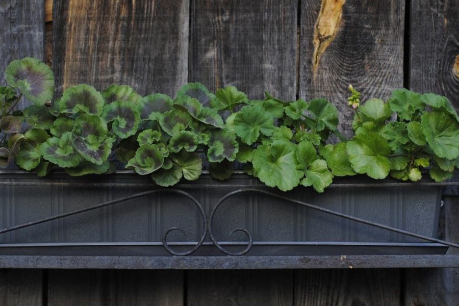 outdoor wooden wall garden