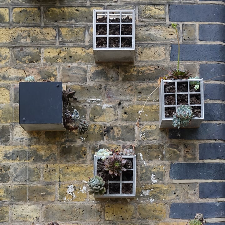 pallet succulent wall garden