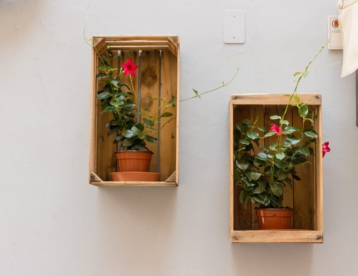 pallet wall garden