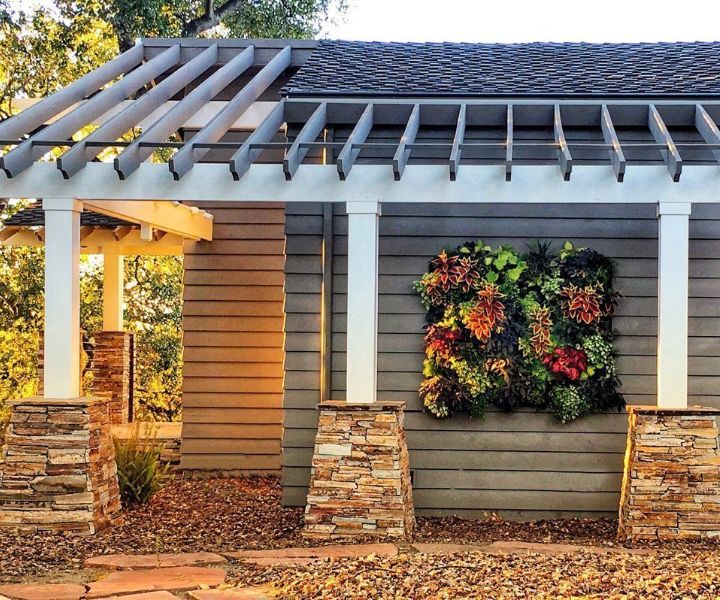 plant wall above bed