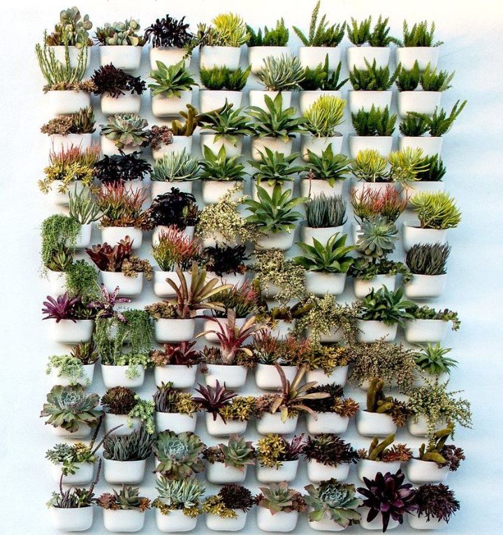 plant wall amazon