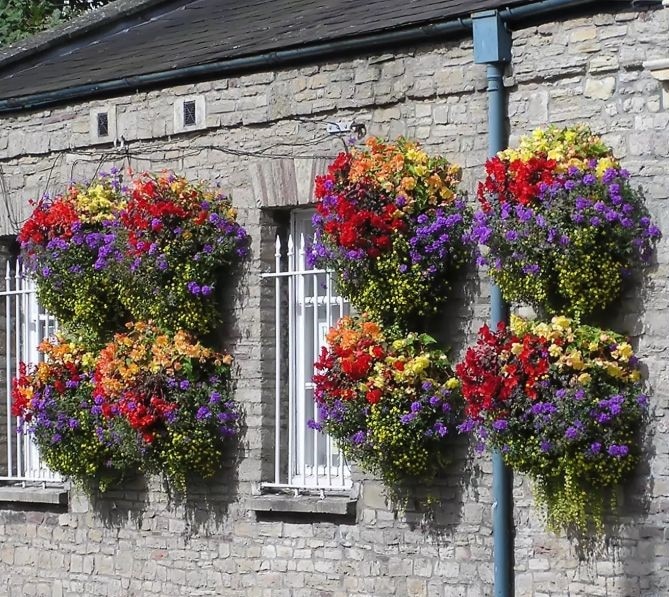 plant wall balcony