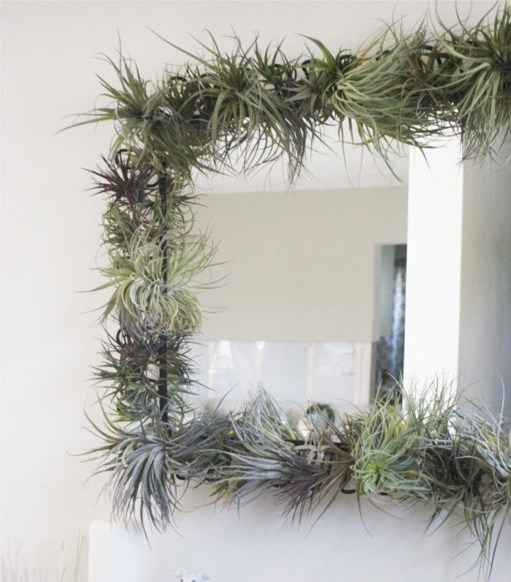 plant wall bedroom