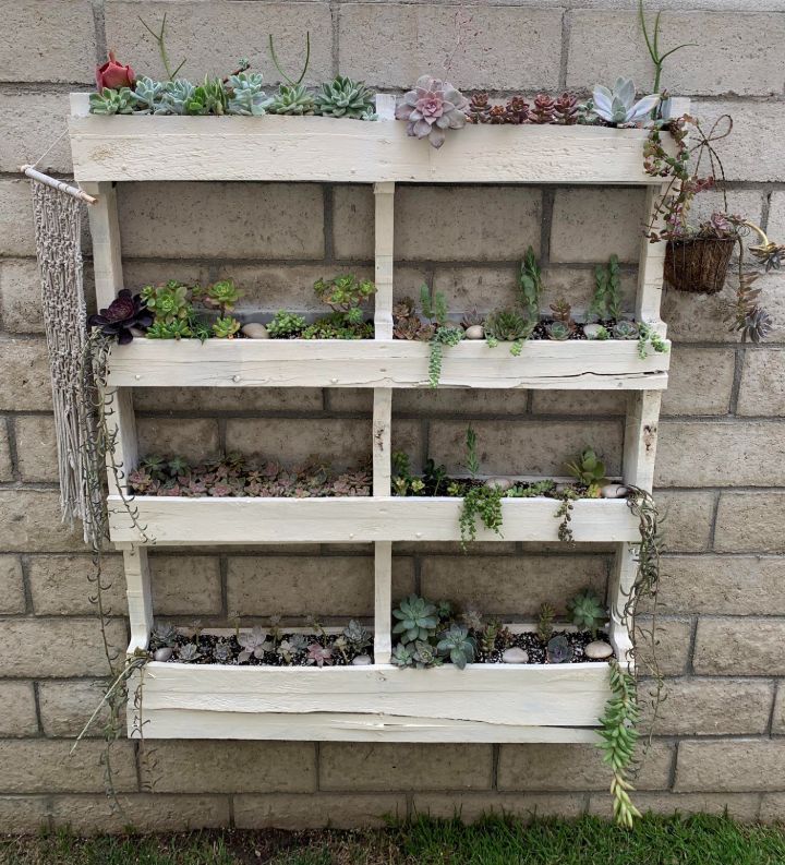 plant wall box