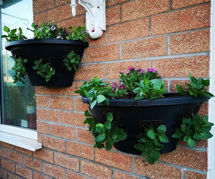 plant wall containers