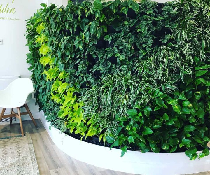 plant wall decor