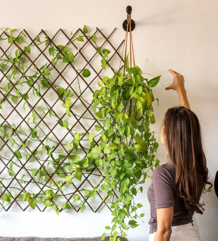 plant wall fence