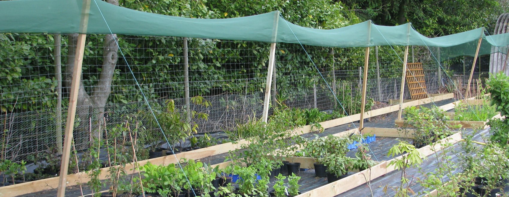 The Greatest Guide To Shade Netting For Vegetables