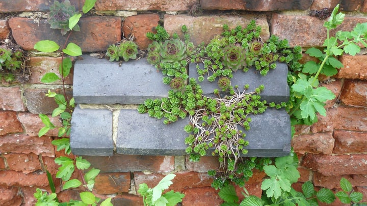 small brick garden wall