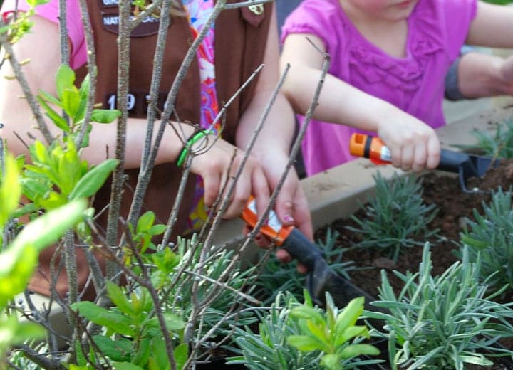 spring gardening