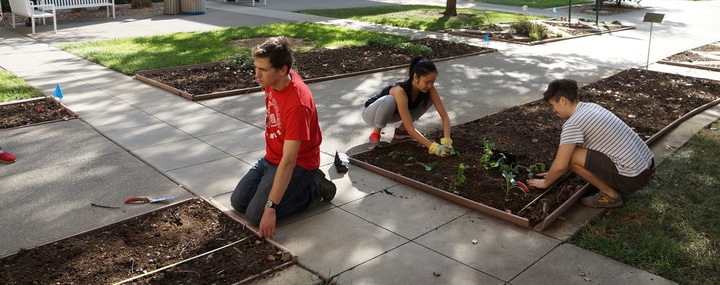 spring planting