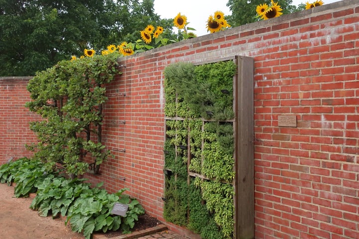 vertical garden on brick wall