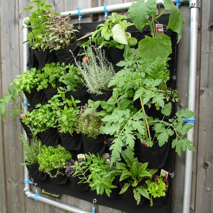 wall mounted herb garden