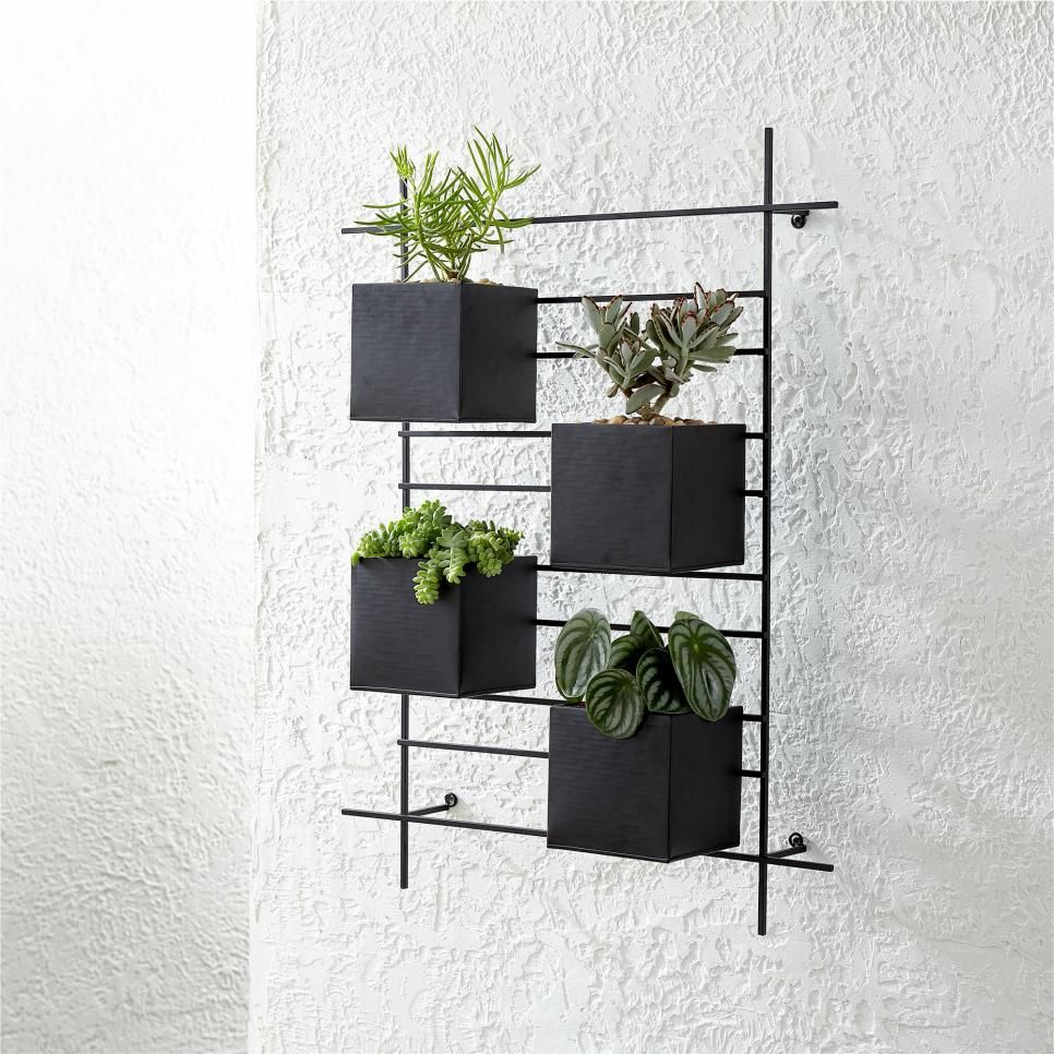 wall planter art