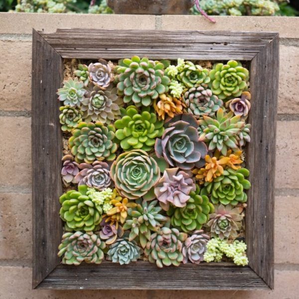 45 Wonderful Wall Planter Ideas for Creative DIY Gardeners