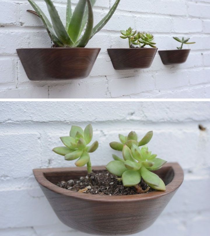 wall planter canada