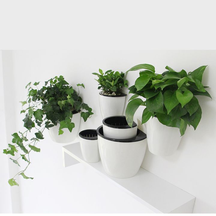 wall planter decor