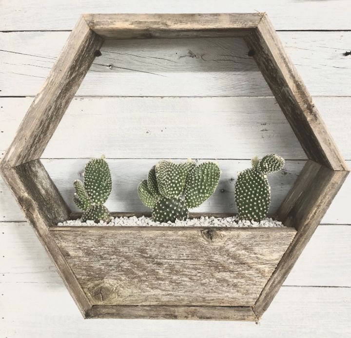 wall planter display