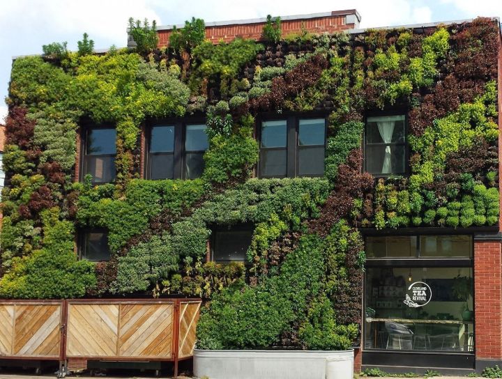 wall planter garden