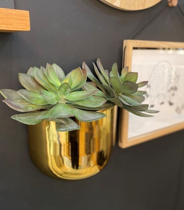 wall planter gold