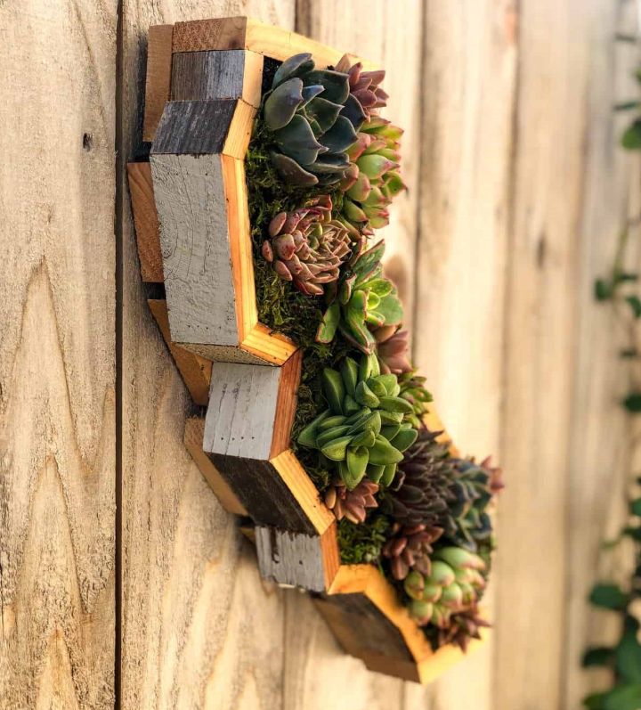 wall planter holder