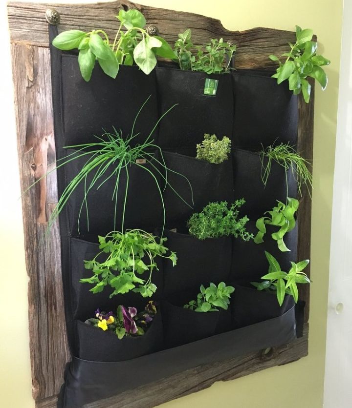 wall planter indoor