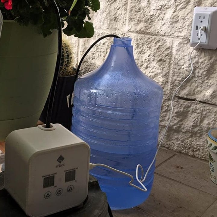 watering the planted wall