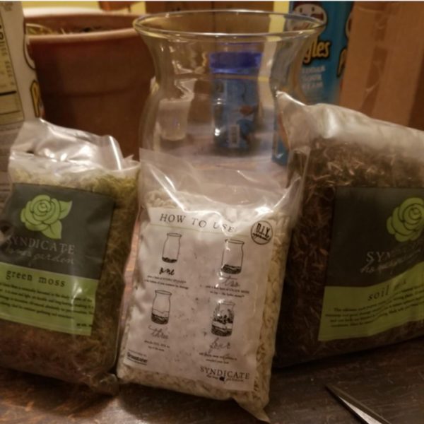 Jarrarium Beginner's Guide with the 7 Best Jarrarium Kits