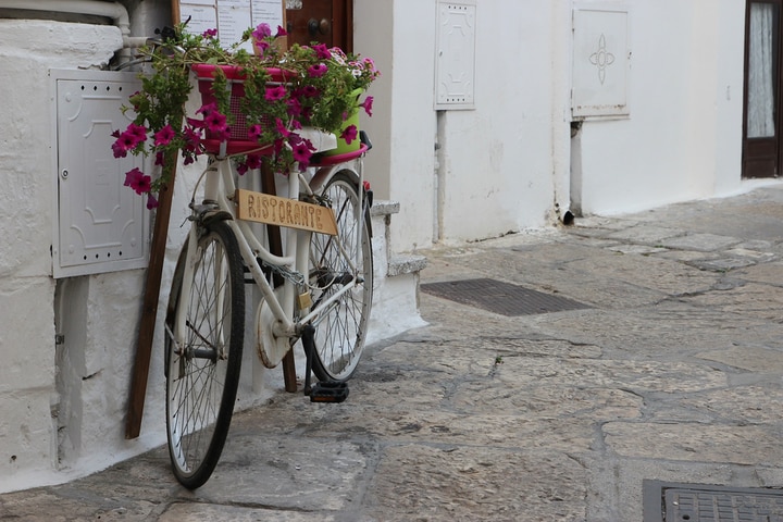 white wall accenter with bicycle planters