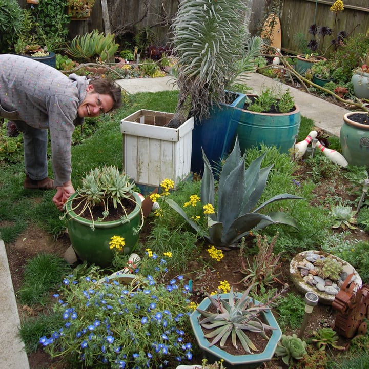 woman in small front yard garden