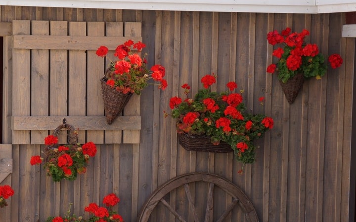 wooden fence wall garden