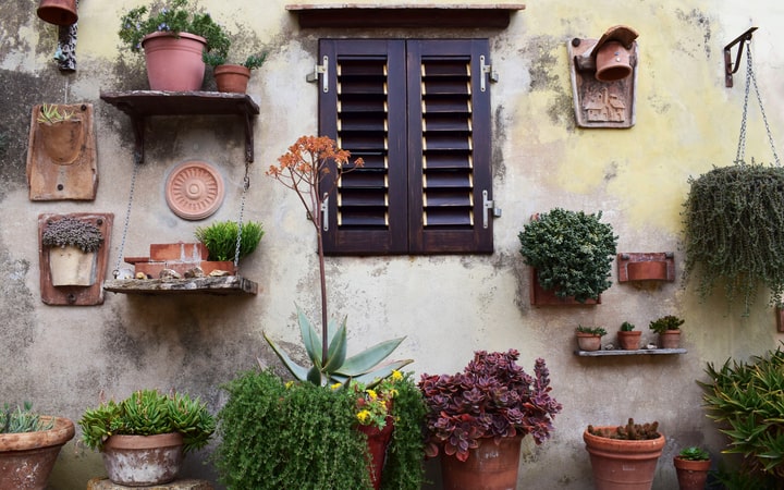 wooden shelves wall garden