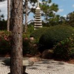 zen garden with plenty of plants